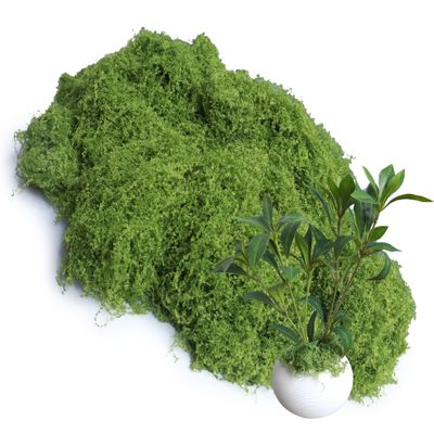 Light Green 8.8oz Artificial Floral Moss Fake Greenery Moss Faux Plant for DIY Crafts Fairy Garden Pot Filler Vase Greenery Decorating Project Indoor Model Making Walls Glass Decor Forlaoers