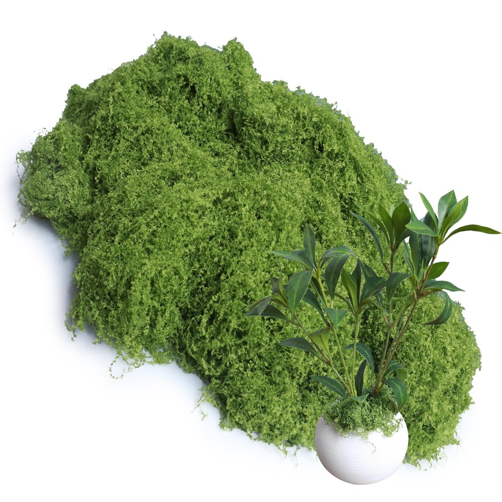 Light Green 8.8oz Artificial Floral Moss Fake Greenery Moss Faux Plant for DIY Crafts Fairy Garden Pot Filler Vase Greenery Decorating Project Indoor Model Making Walls Glass Decor Forlaoers