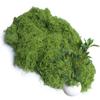 Light Green 8.8oz Artificial Floral Moss Fake Greenery Moss Faux Plant for DIY Crafts Fairy Garden Pot Filler Vase Greenery Decorating Project Indoor Model Making Walls Glass Decor Forlaoers view 1
