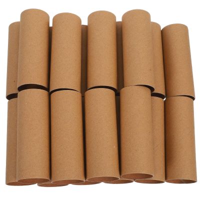 DIYEAH 20pcs Cardboard Tubes: Craft Rolls Paper Tube White for Art Crafts - Empty Toilet Paper Rolls Paintable for DIY Project - Kids Classroom Supplies