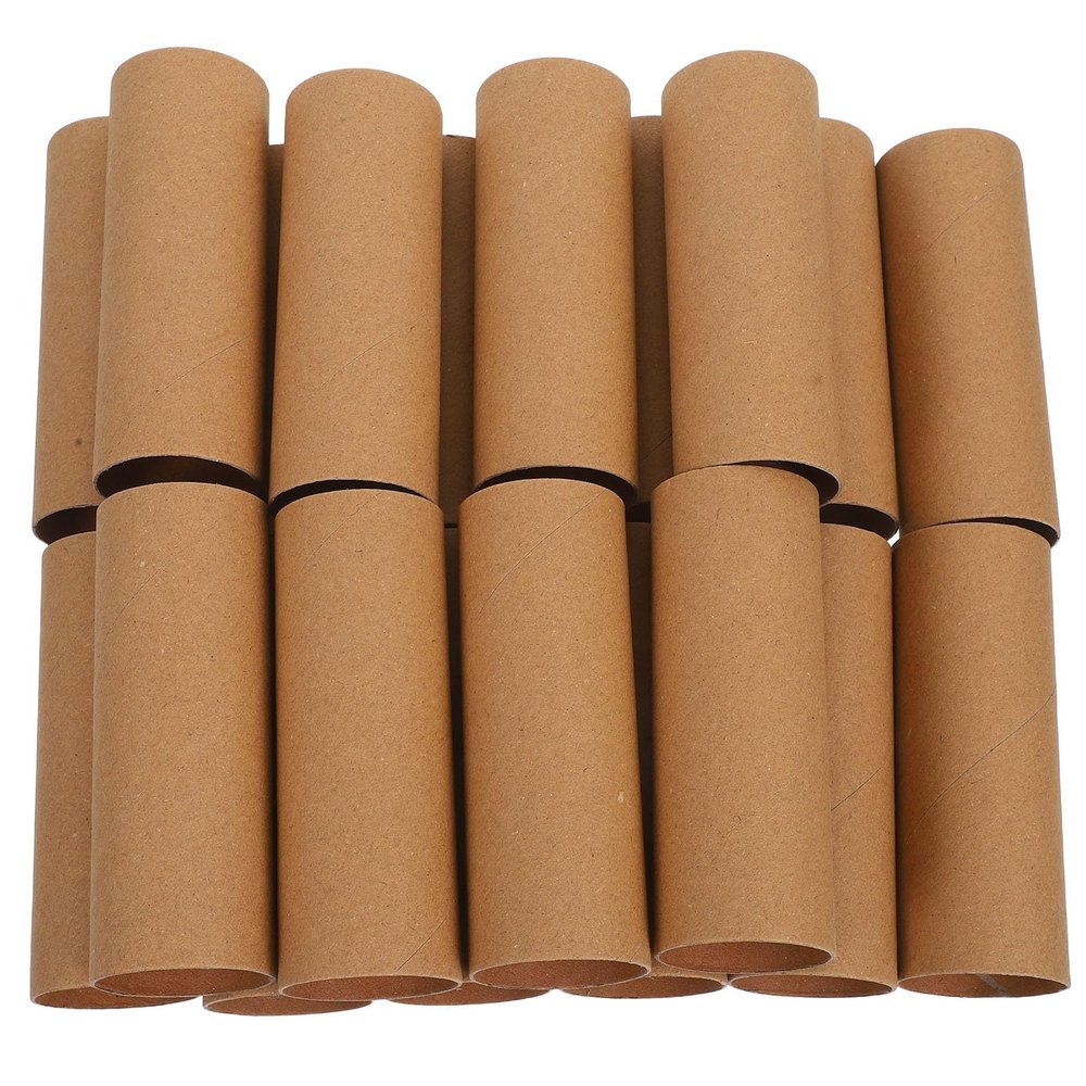 DIYEAH 20pcs Cardboard Tubes: Craft Rolls Paper Tube White for Art Crafts - Empty Toilet Paper Rolls Paintable for DIY Project - Kids Classroom Supplies