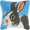 Rabbit Latch Hook Pillow Kits Pillow Cover Pattern Printed Canvas Knitted Hooking Pillowcase Cushion with Zipper Crafts Crochet Home Decor DIY Kits 17x17 inch(s-65) view 1