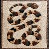 DIY Latch Hook Rug Kit Snake Easy for Beginners Crochet Yarn Hook and Latch Tapestry Mat Cushion Craft Set for Home Decor 38x52cm view 1