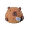 Luoyiyuan Needle Felting Set Felting Starter with Needle and Instructions Needle Felting Supplies Craft view 1