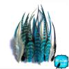 Hair Feathers ; 2 Dozen - Short BLUE MIX Grizzly Rooster Hair Extension Feathers view 2