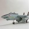 EASY MODELS 37191 1/72 F-14D VF-101 view 3