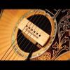Seymour Duncan SA-3HC Woody HC Acoustic Soundhole Pickup - Walnut Hum-Canceling view 2