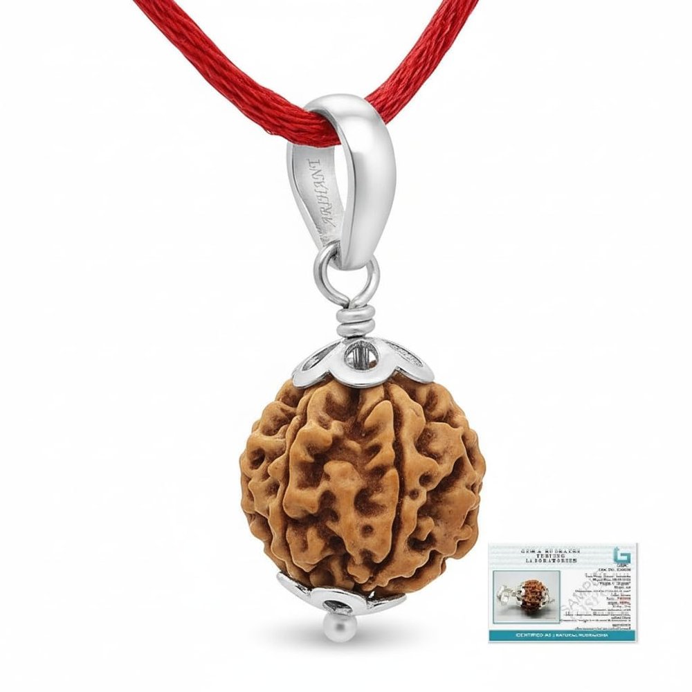 Arihant Gems & Jewels Certified 6 Mukhi Nepali Rudraksha With 925 Sterling Silver Pendant Natural Six Face Rudraksha Bead For Wisdom, Focus & Lord Kartikeya Blessings
