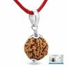 Arihant Gems & Jewels Certified 6 Mukhi Nepali Rudraksha With 925 Sterling Silver Pendant Natural Six Face Rudraksha Bead For Wisdom, Focus & Lord Kartikeya Blessings view 1