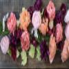 Lia Griffith Extra Fine Crepe Paper Folds Rolls, 10.7-Square Feet, Assorted Colors view 4