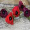 Lia Griffith Double Sided Crepe Paper Folds Roll, 6.7-Square Feet, Sangria and Aubergine, Cherry and Raspberry view 3