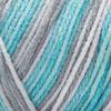 RED Heart 385957 Super Saver Yarn, Icelandic view 2