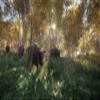 theHunter: Call of the Wild - PC view 3
