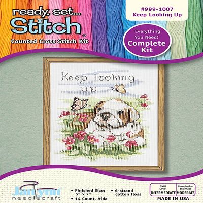 The Janlynn Corporation Ready, Set...Stitch Keep Looking Up Counted Cross Stitch Kit