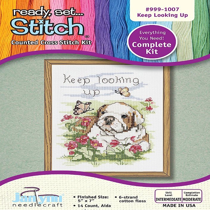 The Janlynn Corporation Ready, Set...Stitch Keep Looking Up Counted Cross Stitch Kit