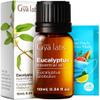 100% Pure Eucalyptus Essential Oil - 0.34 Fl Oz - Eucalyptus Oil for Hair, Skin, Diffuser, Aromatherapy & DIY Candle Making Scent view 1