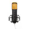 Editors Keys USB SL600 Microphone for Professional Studio Quality Audio for Sound Recording, Includes Shock Mount, Cable & Padded Storage Case view 1